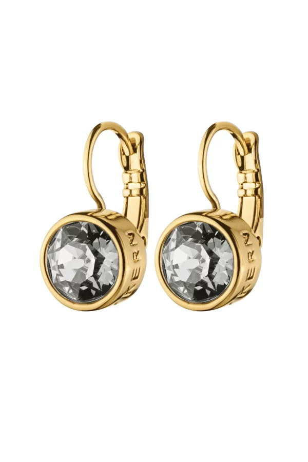 LOUISE Hook Earring With Grey Crystals Gold