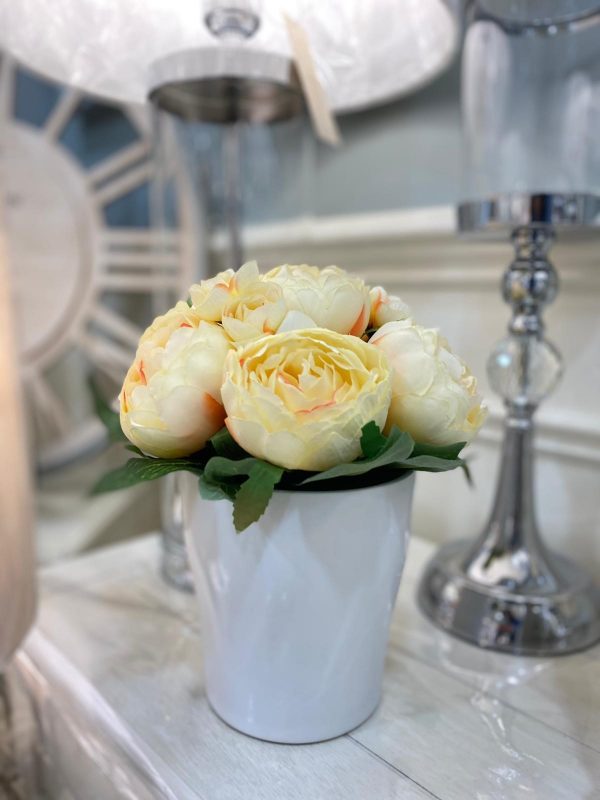 Potted Eternity Rose Arrangement Yellow