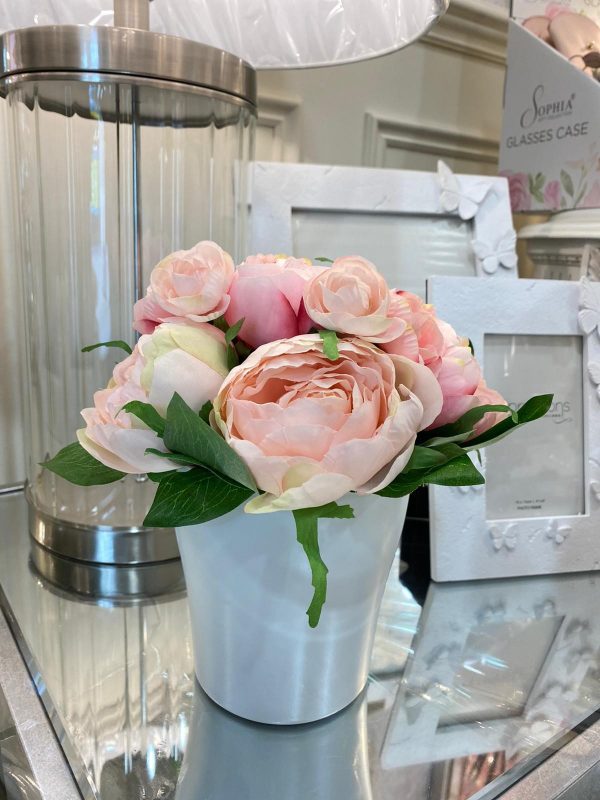Potted Eternity Rose Arrangement Pink