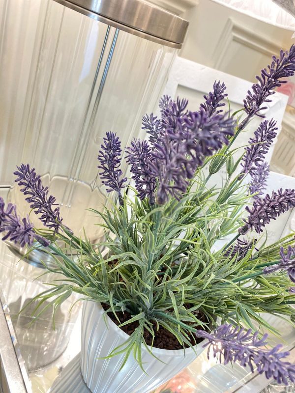 Potted Lavender In Ribbed Pot Arrangement Purple - Image 2