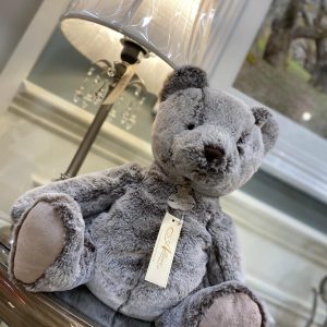 Histoire d'Ours Teddy