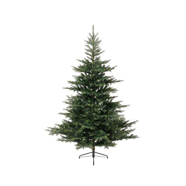 Grandis Fir Real Feel 240cm