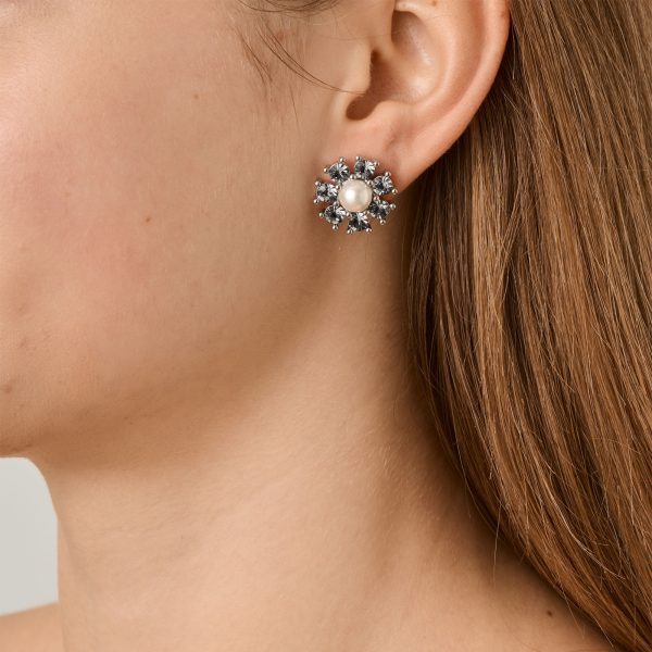 AUDE Earring with Grey Crystals Silver - Image 2
