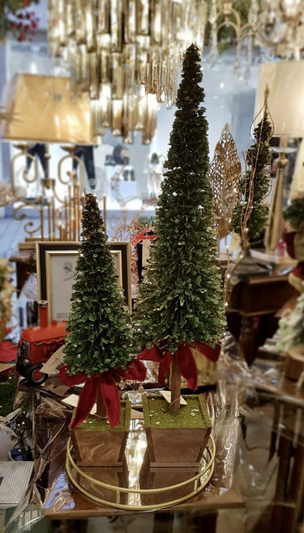 Potted Boxwood Large Tree With Red Bow 75 CM - Image 2
