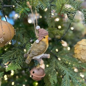 Sitting Bird in a Brown Hat