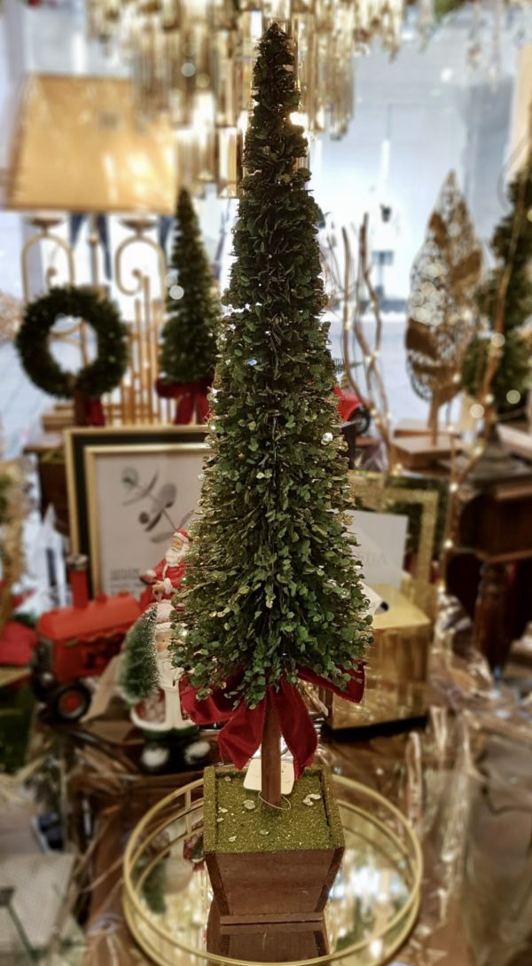 Potted Boxwood Large Tree With Red Bow 75 CM