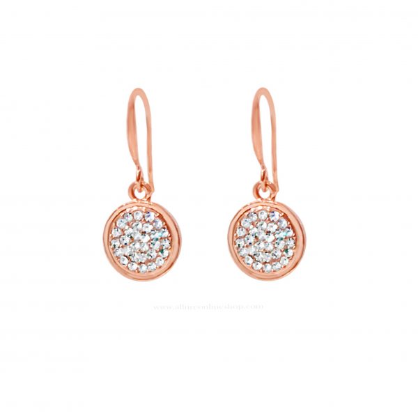 ABSOLUTE E1046RS EARRINGS