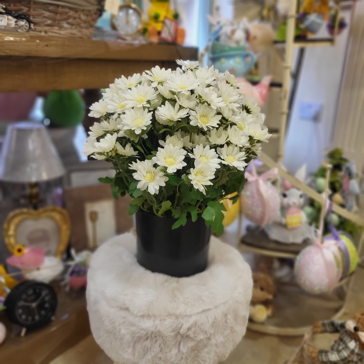 Spring Daisies 39cm Tall White