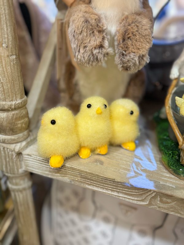 Three Easter Baby Chicks