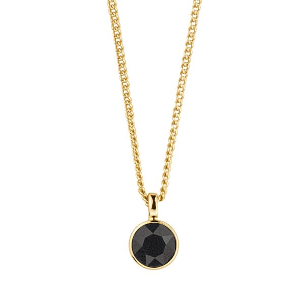 ETTE Black Necklace Gold