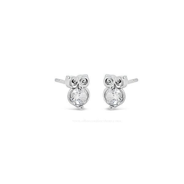 Absolute Kids Collection Silver Little Owl Stud Earrings HCE433SL