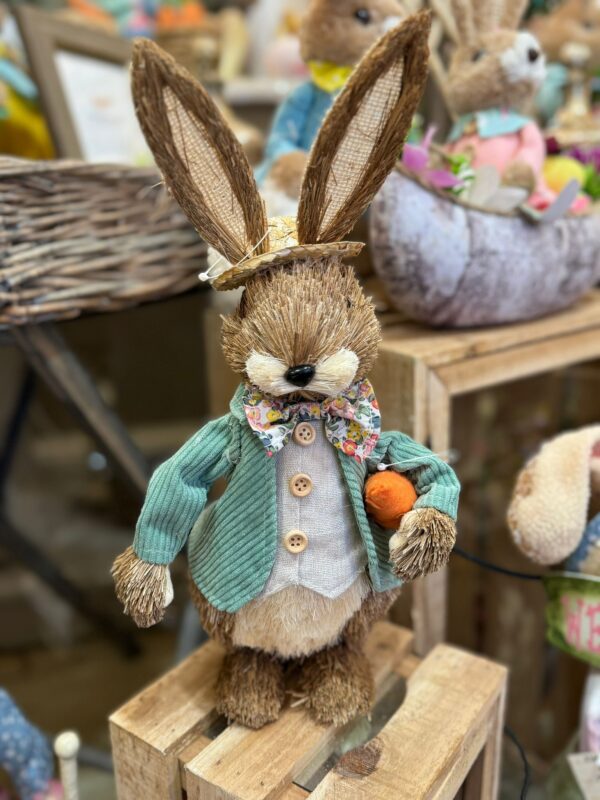Mr Rabbit with Carrot 36cm