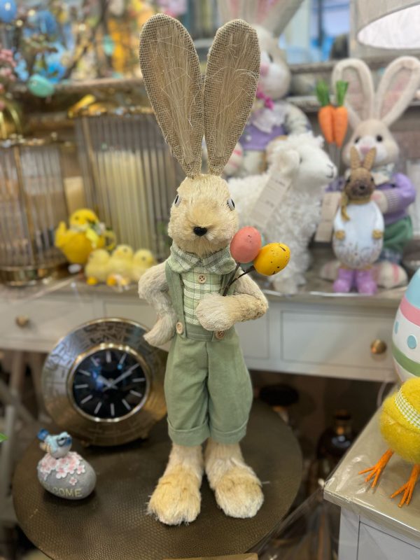 Easter Bunny Boy with Egg Bunch Large - Image 2