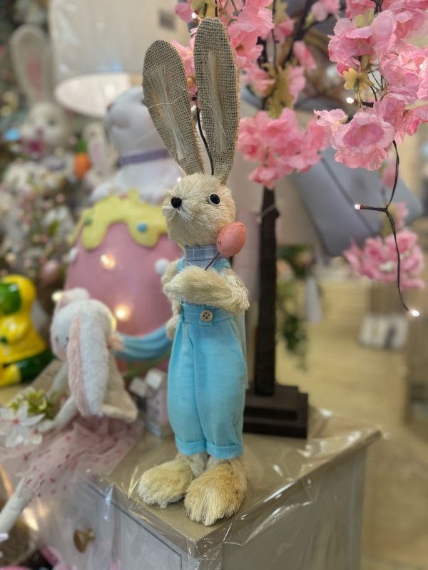 Easter Bunny Boy with Egg