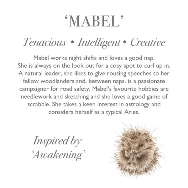 Wrendale Mabel Hedgehog Junior - Image 4