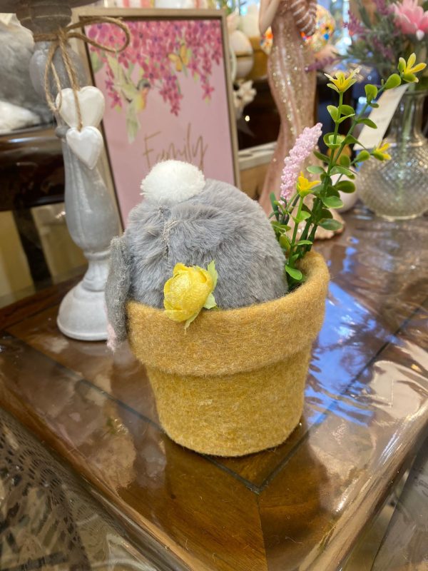 'Bunny Bums' In Flower Pot Grey - Image 2