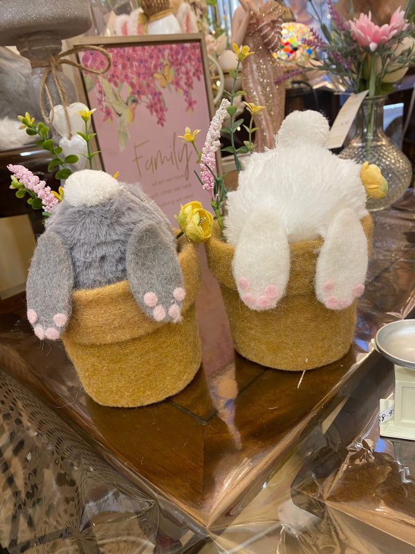 'Bunny Bums' In Flower Pot Grey - Image 3
