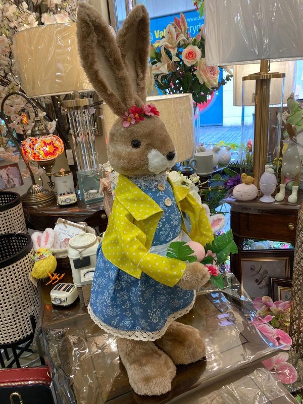 Springtime Bunny in Yellow Jacket Large - Image 2