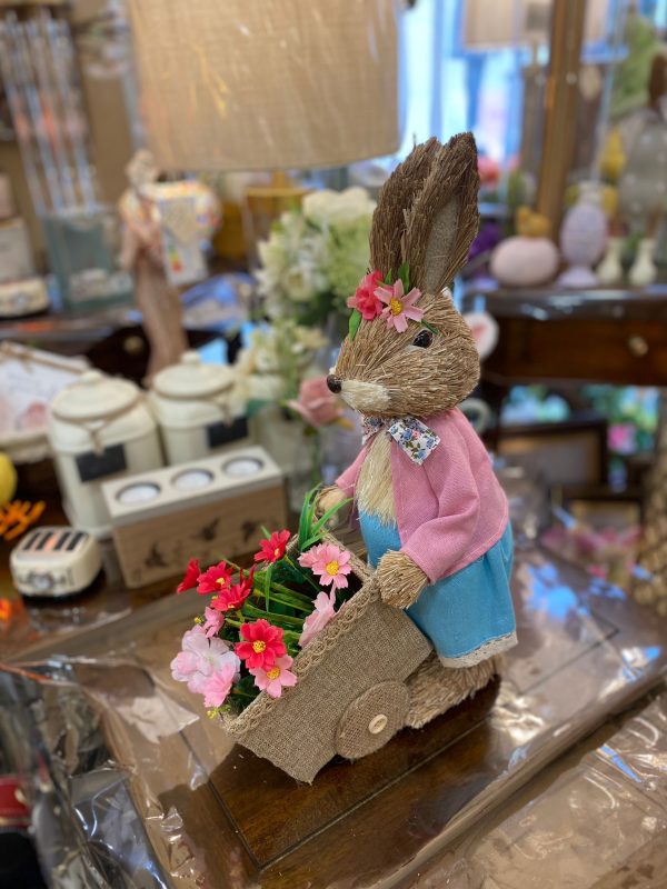 Mrs Peter Rabbit with Flowers in the Cart