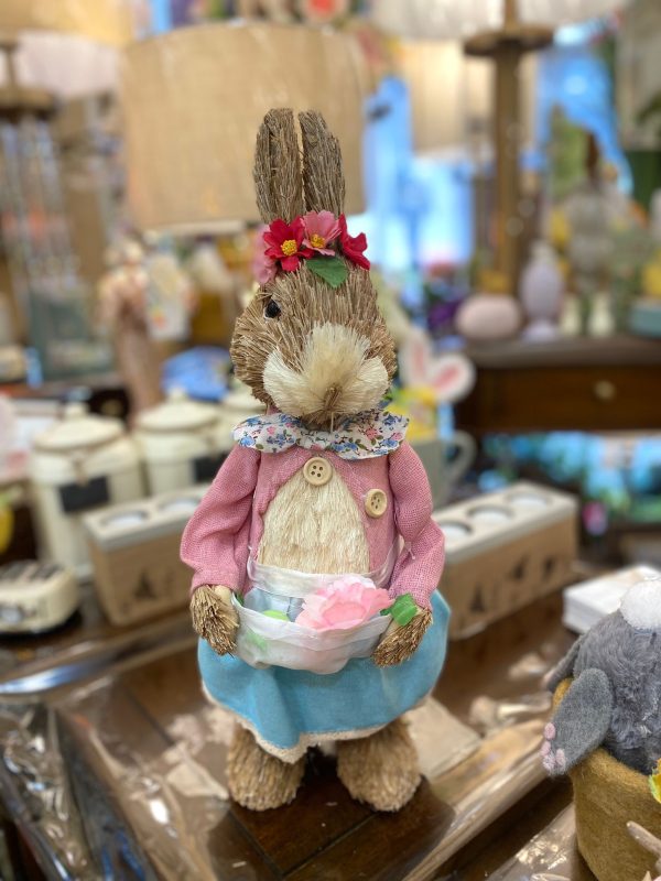Mrs Peter Rabbit Small