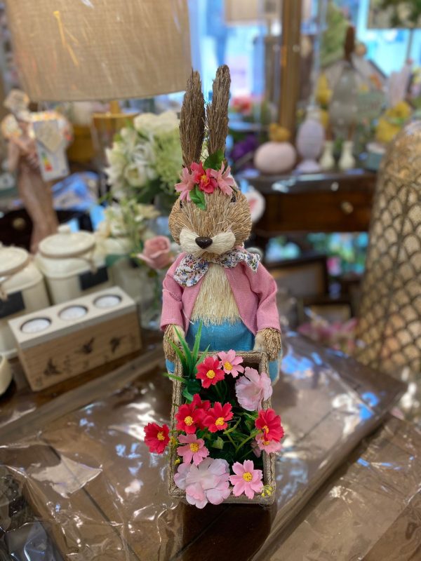 Mrs Peter Rabbit with Flowers in the Cart - Image 2