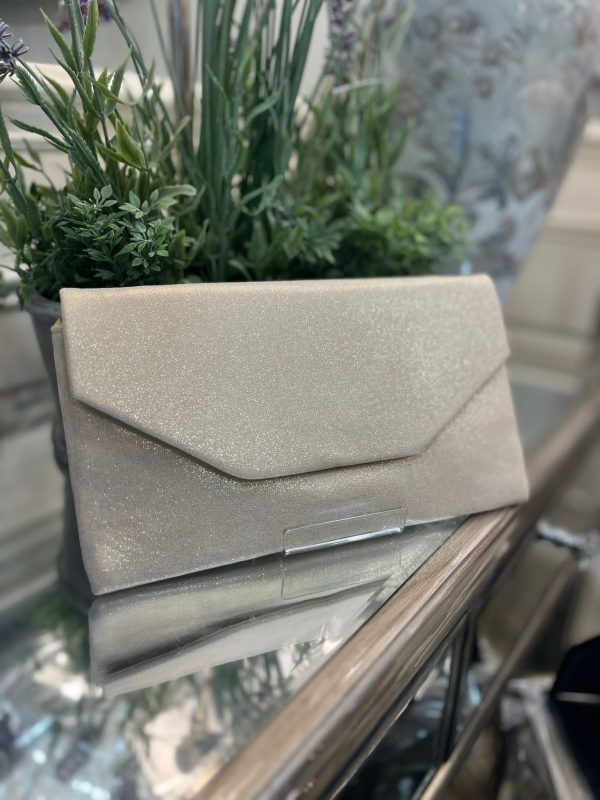 Light Gold Slim Envelope Style Clutch Bag