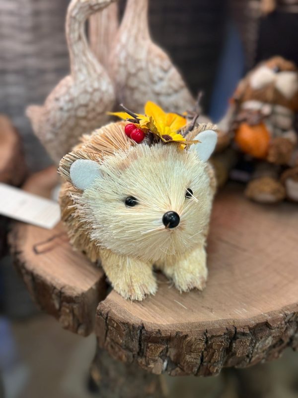 Hedgehog with Flowers behind Ear