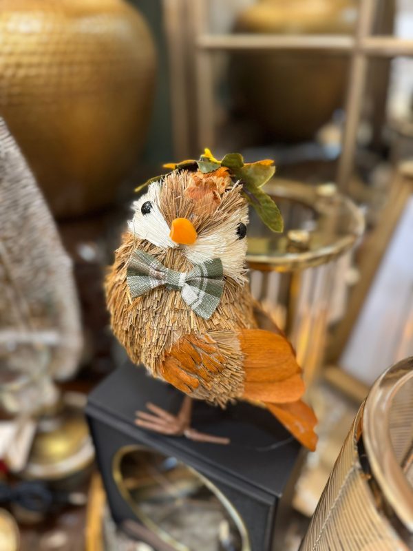 Bird with Bowtie and Floral Hat