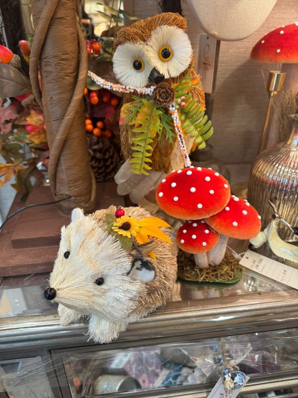 Hedgehog with Flowers behind Ear - Image 2