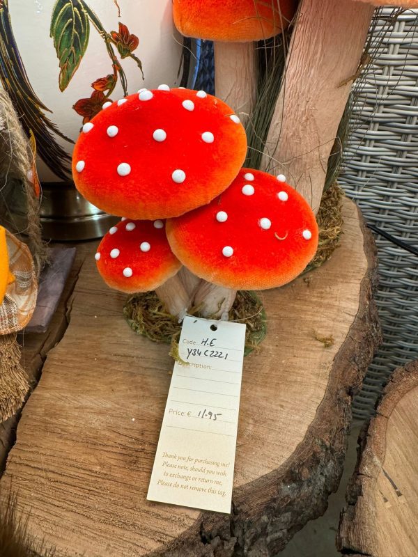 Mushrooms Medium