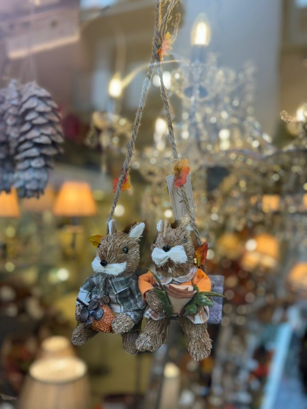Squirrels on a Swing