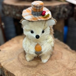 Hedgehog with Acorn and Hat