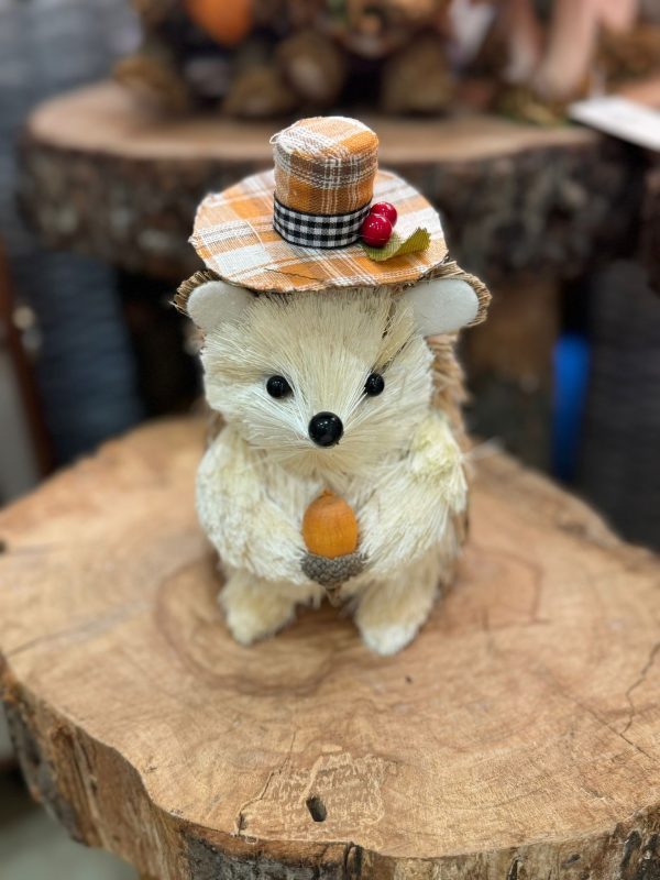 Hedgehog with Acorn and Hat