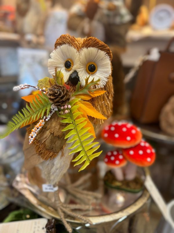 Barn Owl With Floral Bow