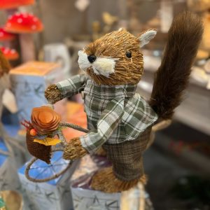 Squirrel on Bicycle Boy