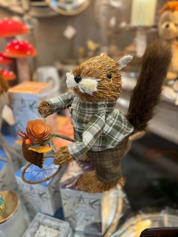Squirrel on Bicycle Boy