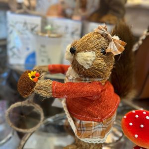 Squirrel on Bicycle Girl