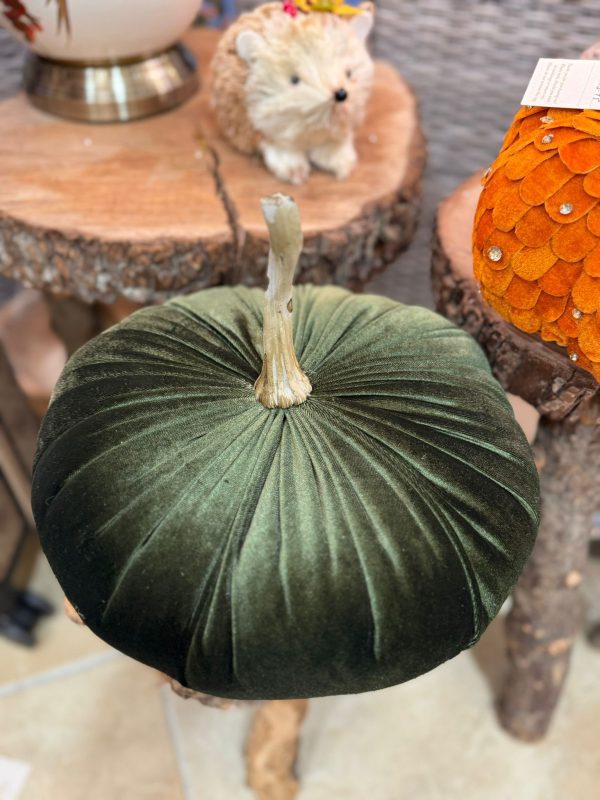 Green Pumpkin with Natural Stem - Image 2