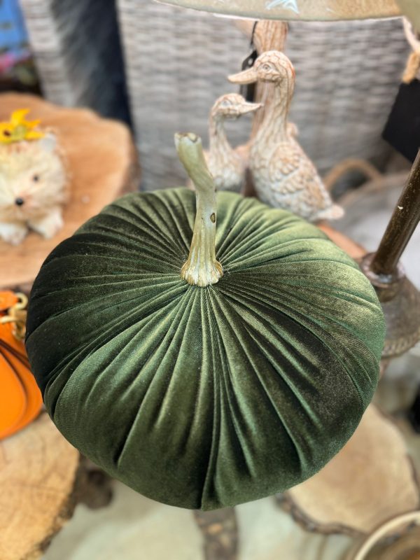 Green Pumpkin with Natural Stem