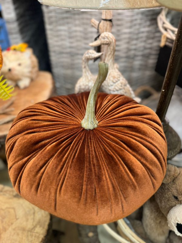 Orange Pumpkin with Natural Stem