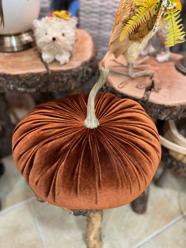 Orange Pumpkin with Natural Stem - Image 2