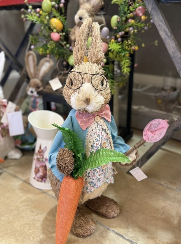 60cm Peter Rabbit with Net & Carrot