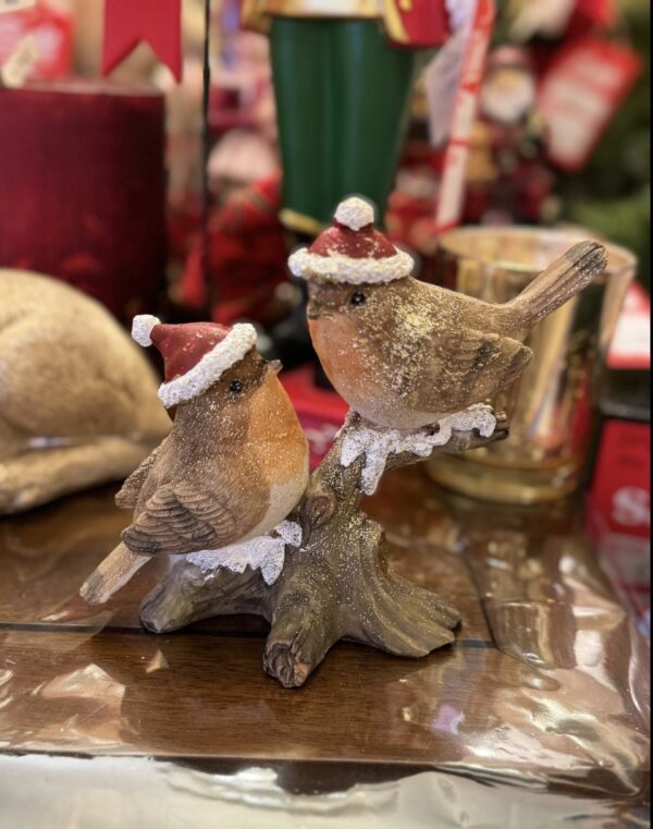Two Christmas Robins on a Branch