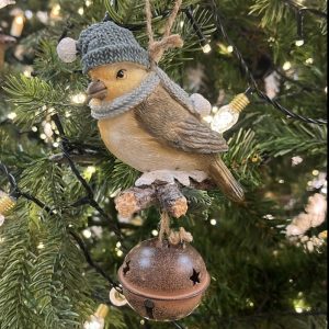 Sitting Bird in a Blue Hat