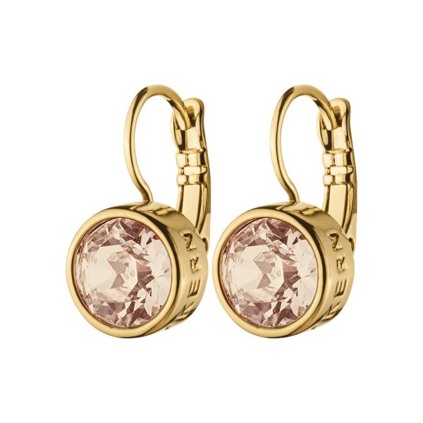 LOUISE Gold Crystal Hook Earrings Gold