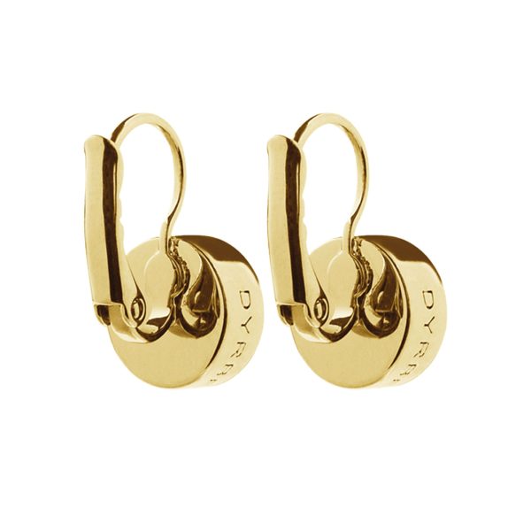 LOUISE Hook Earring With Grey Crystals Gold - Image 3