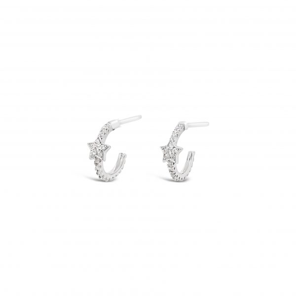Absolute Sterling Silver Earrings SE202SL