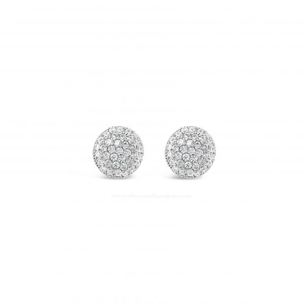 ABSOLUTE E2104SL SILVER EARRINGS