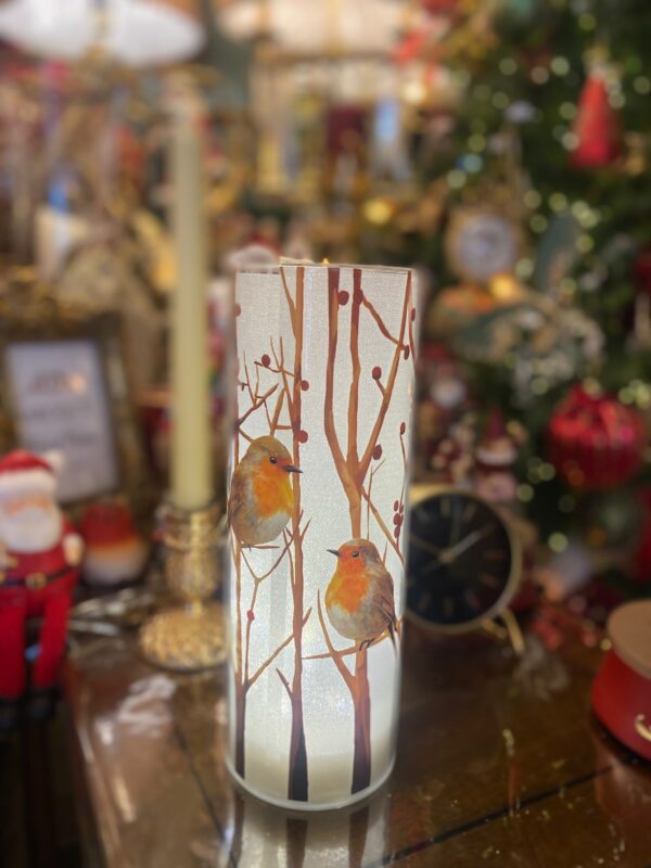LED Robin Glass 25cm