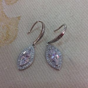 Elegant CZ Clear Drop Crystal Earrings